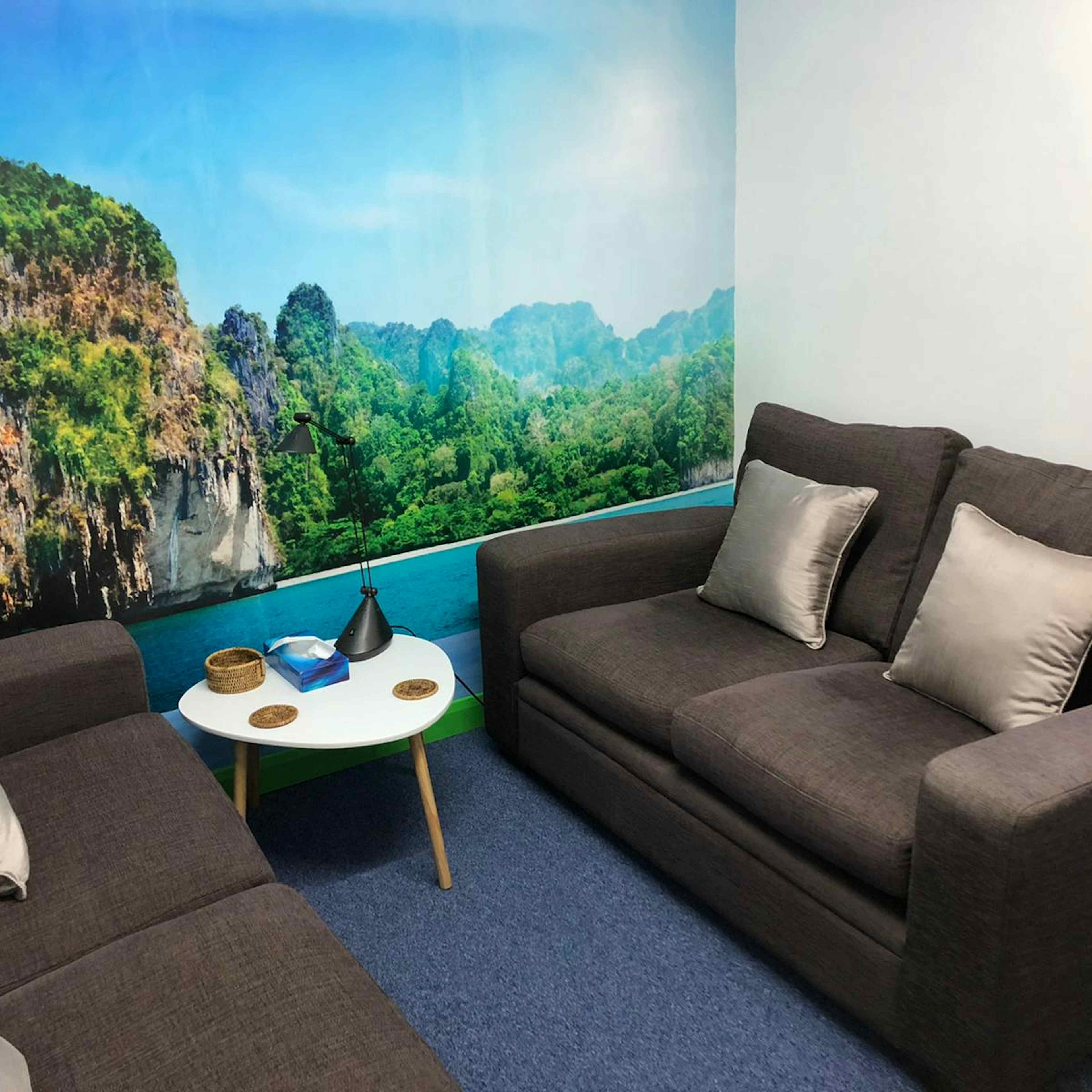 TST Fitness & Wellbeing - Counselling Room  image 3