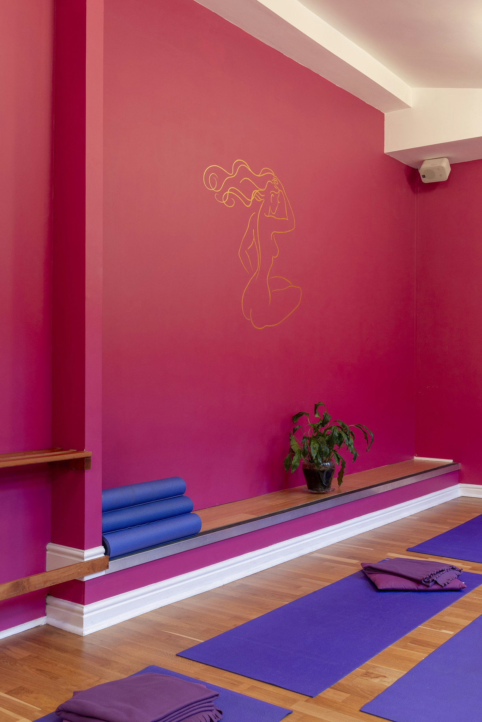 Tara Yoga Centre - Parvati Studio image 4