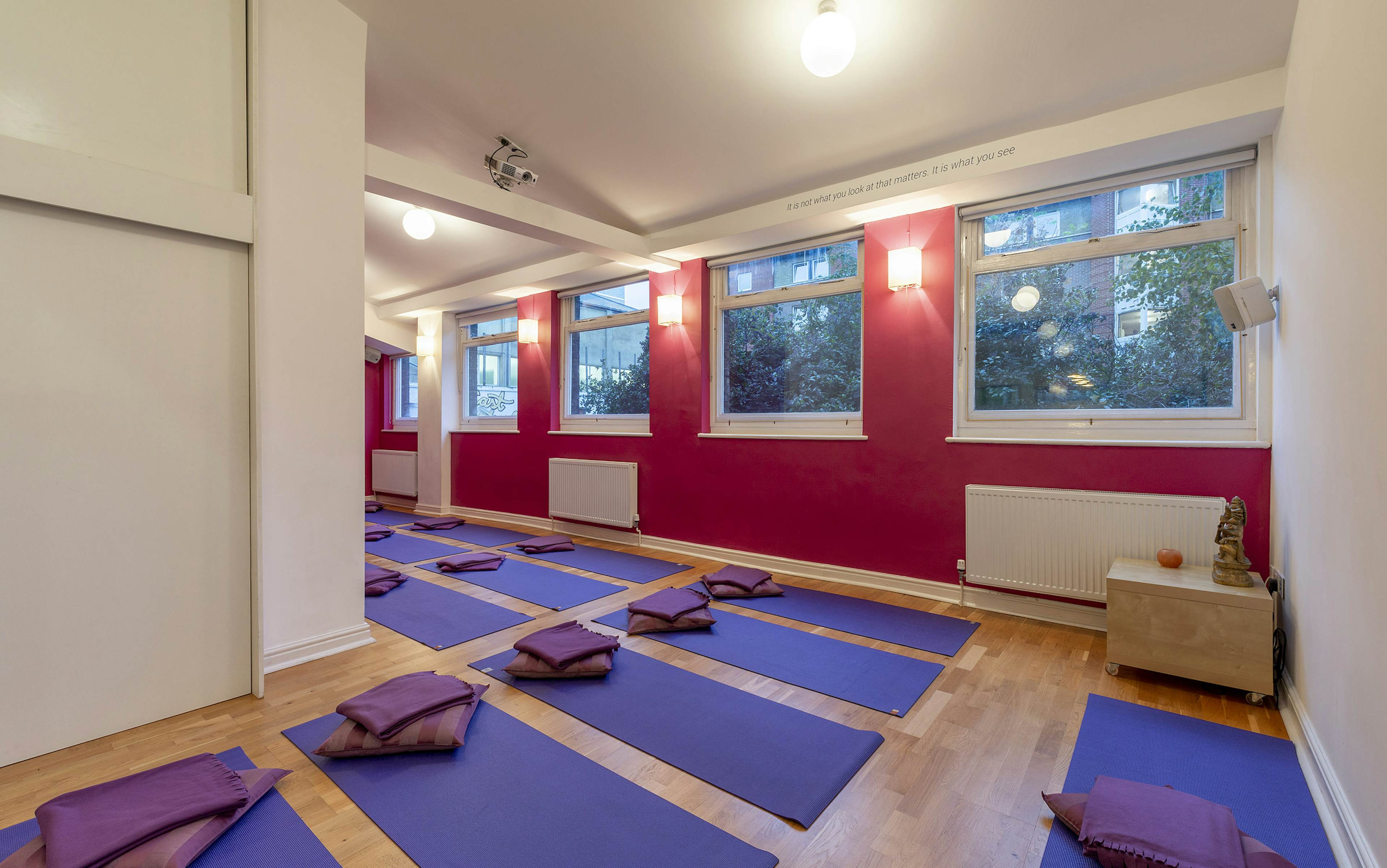 Tara Yoga Centre - Parvati Studio image 1