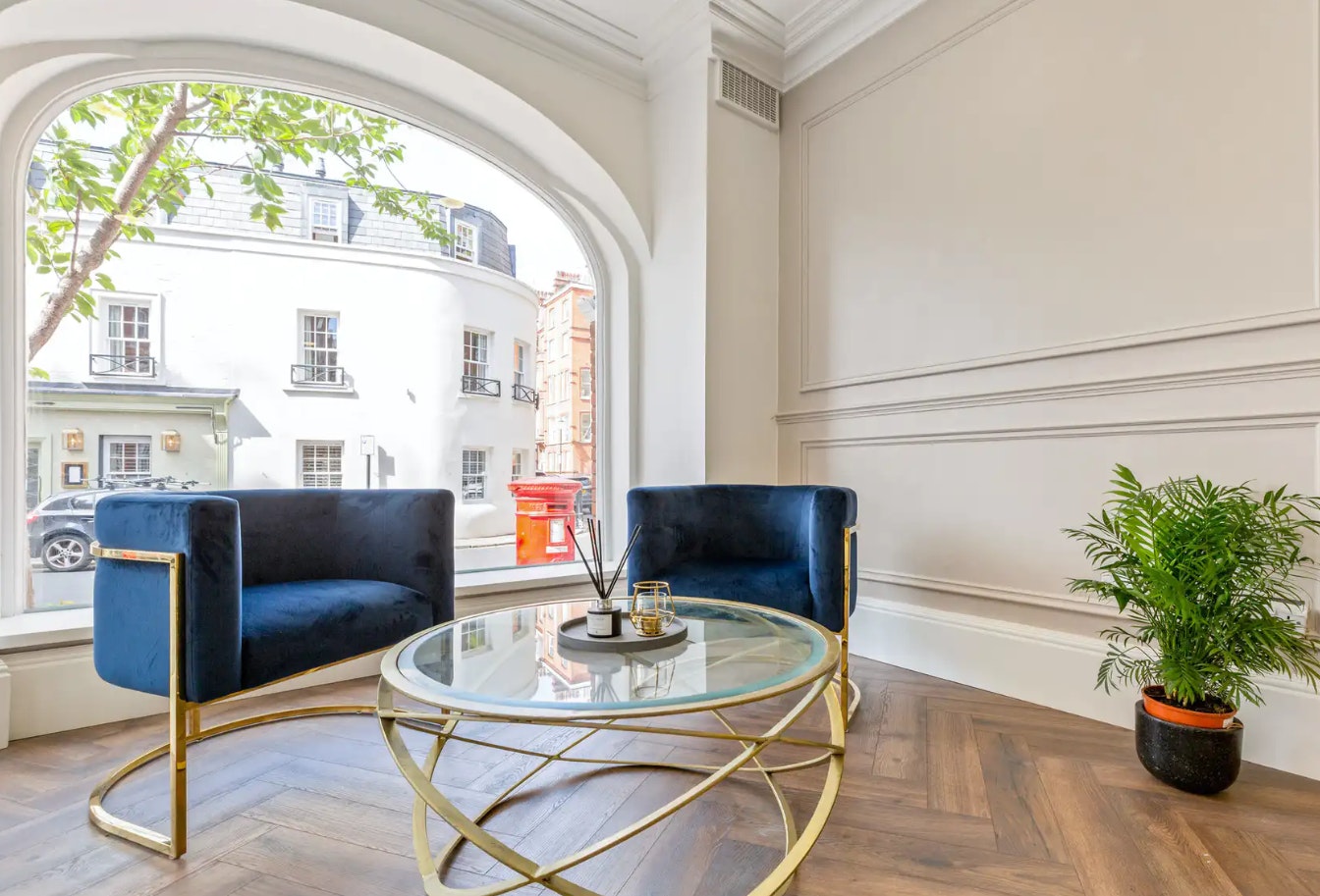 Aesthetics Consultancy Group - ACG Meeting Room image 3