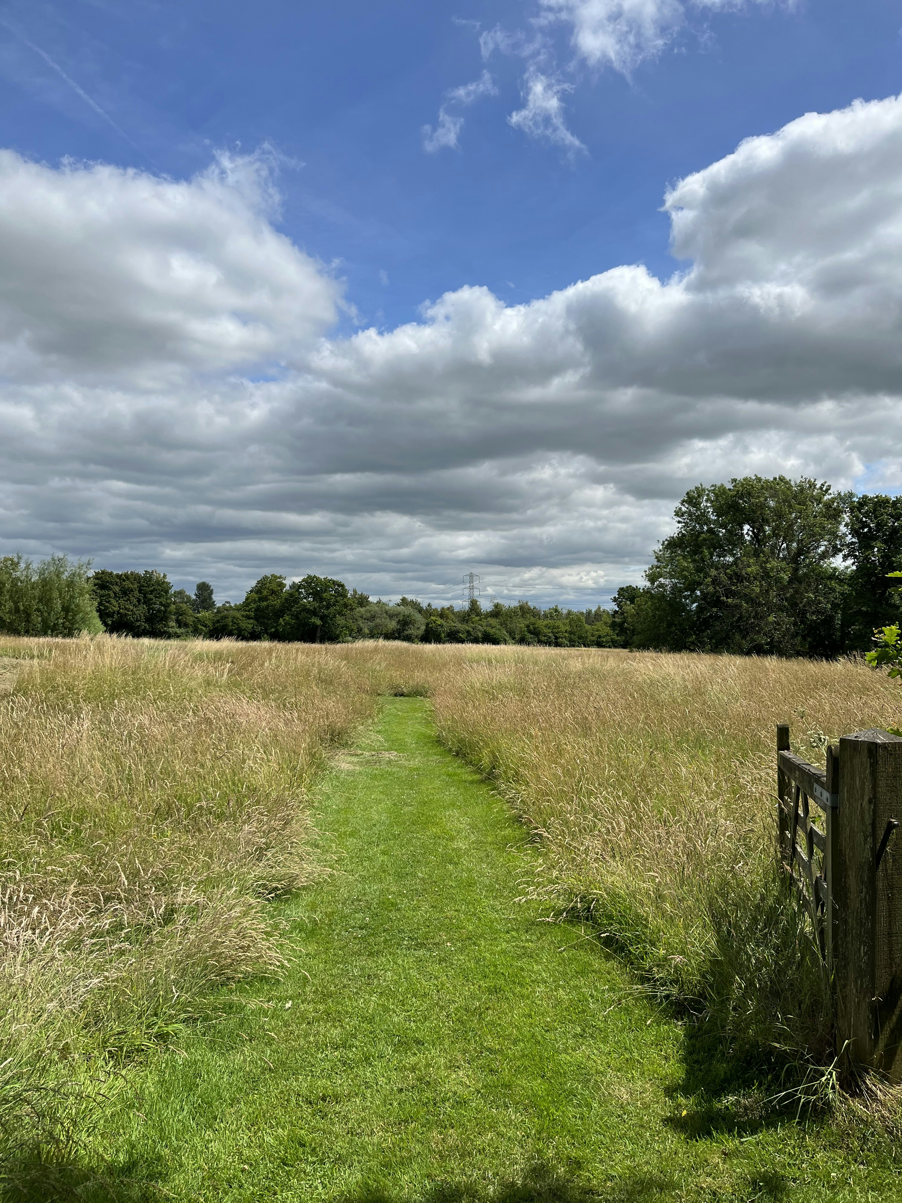 Church Farm Estate - Meadows image 2