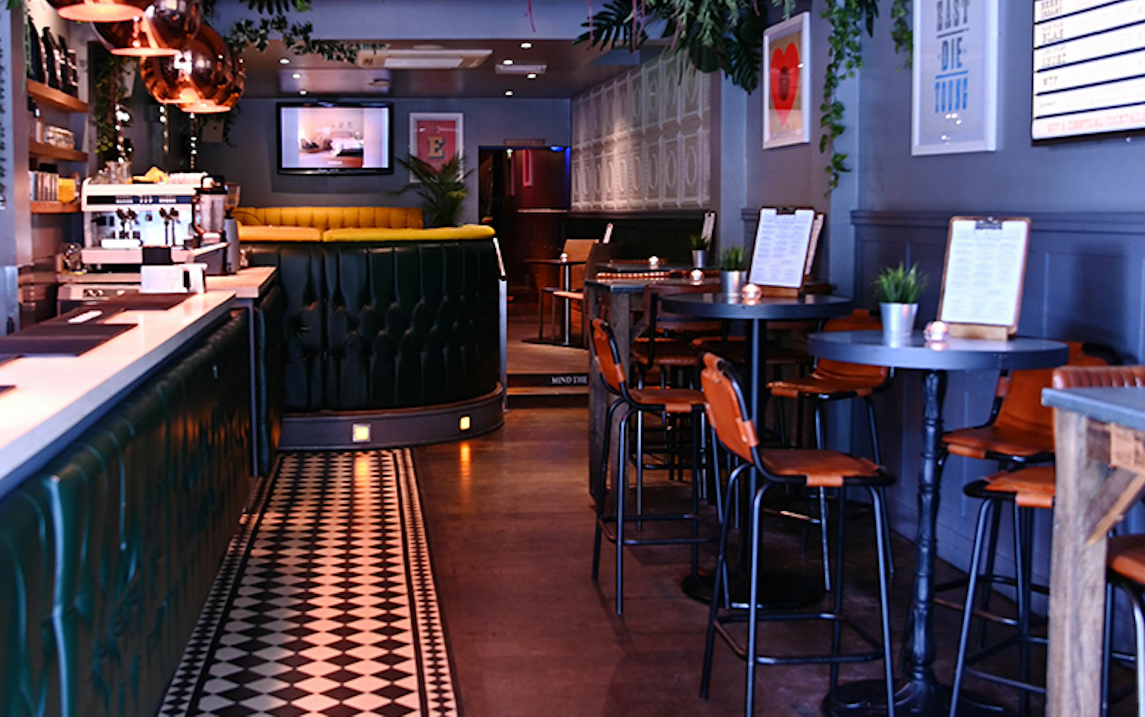 Lizard Lounge - Two Bar Areas image 1