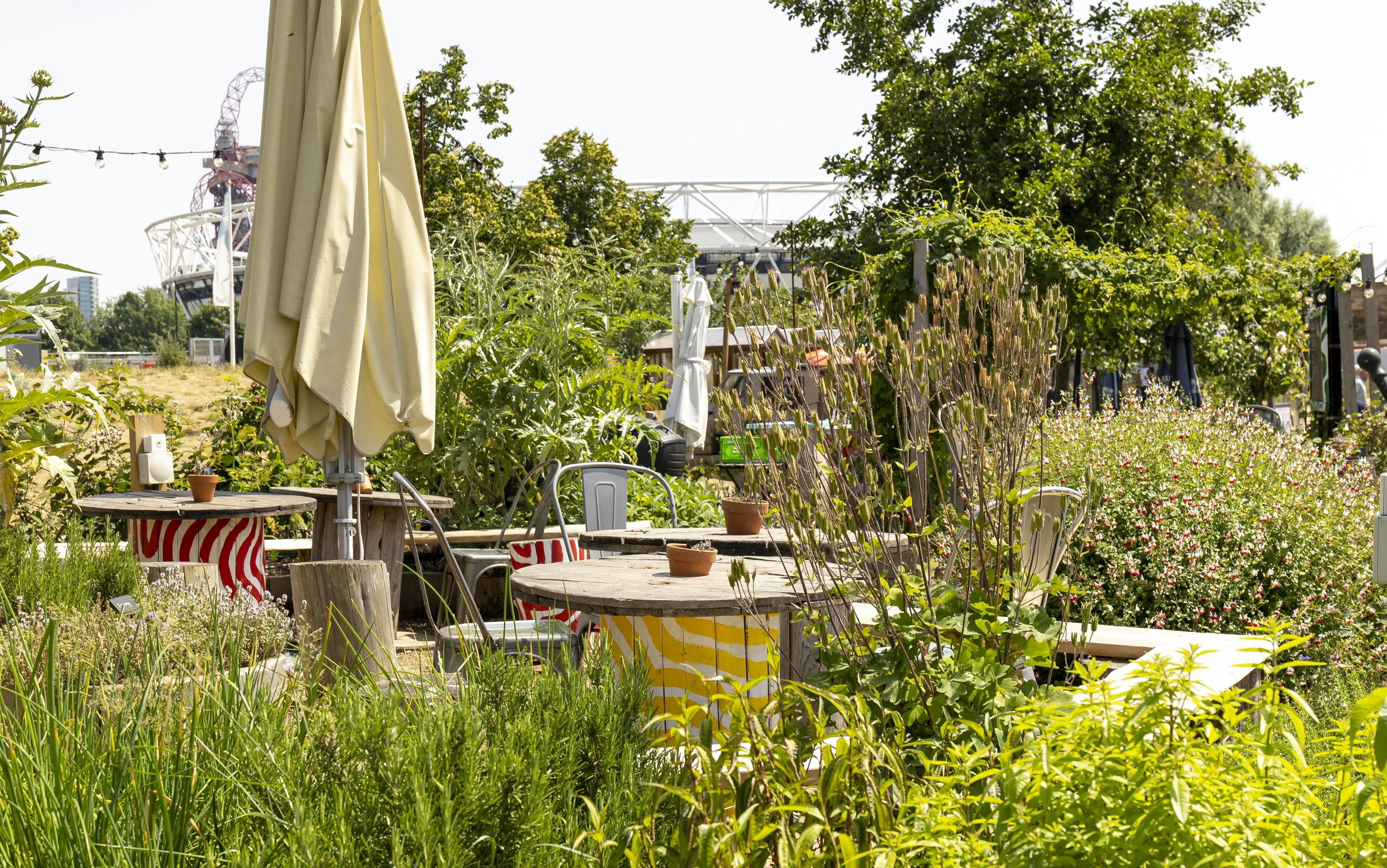 Barge East - The Garden & Allotments image 1