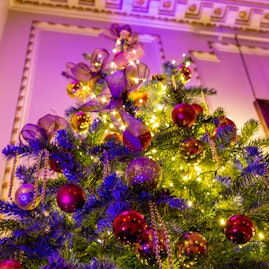 Stationers' Hall and Garden - Christmas at Stationers' Hall image 2