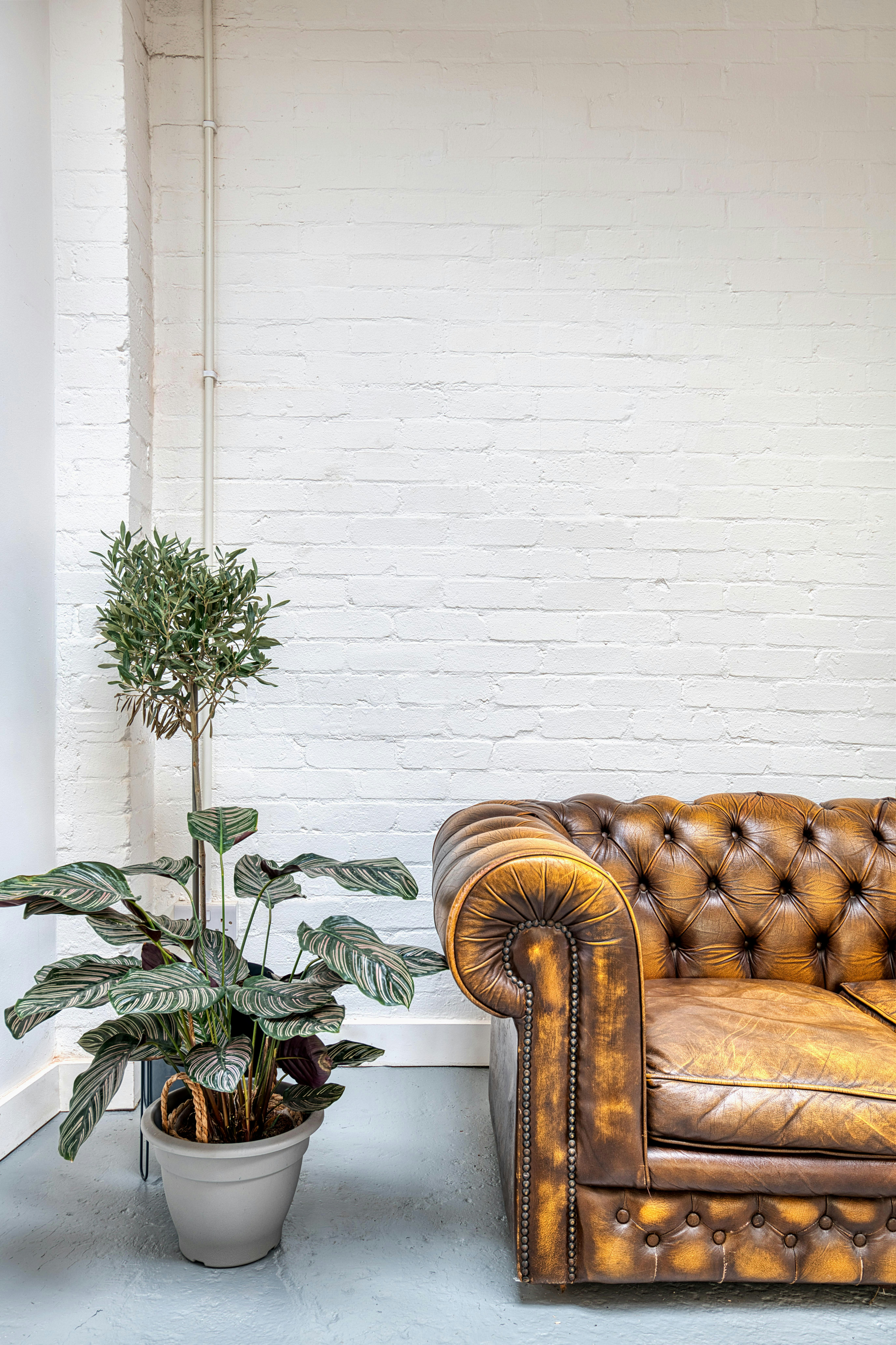 Simulacra Studio, Bell Green - Studio Two, The Daylight Studio image 6