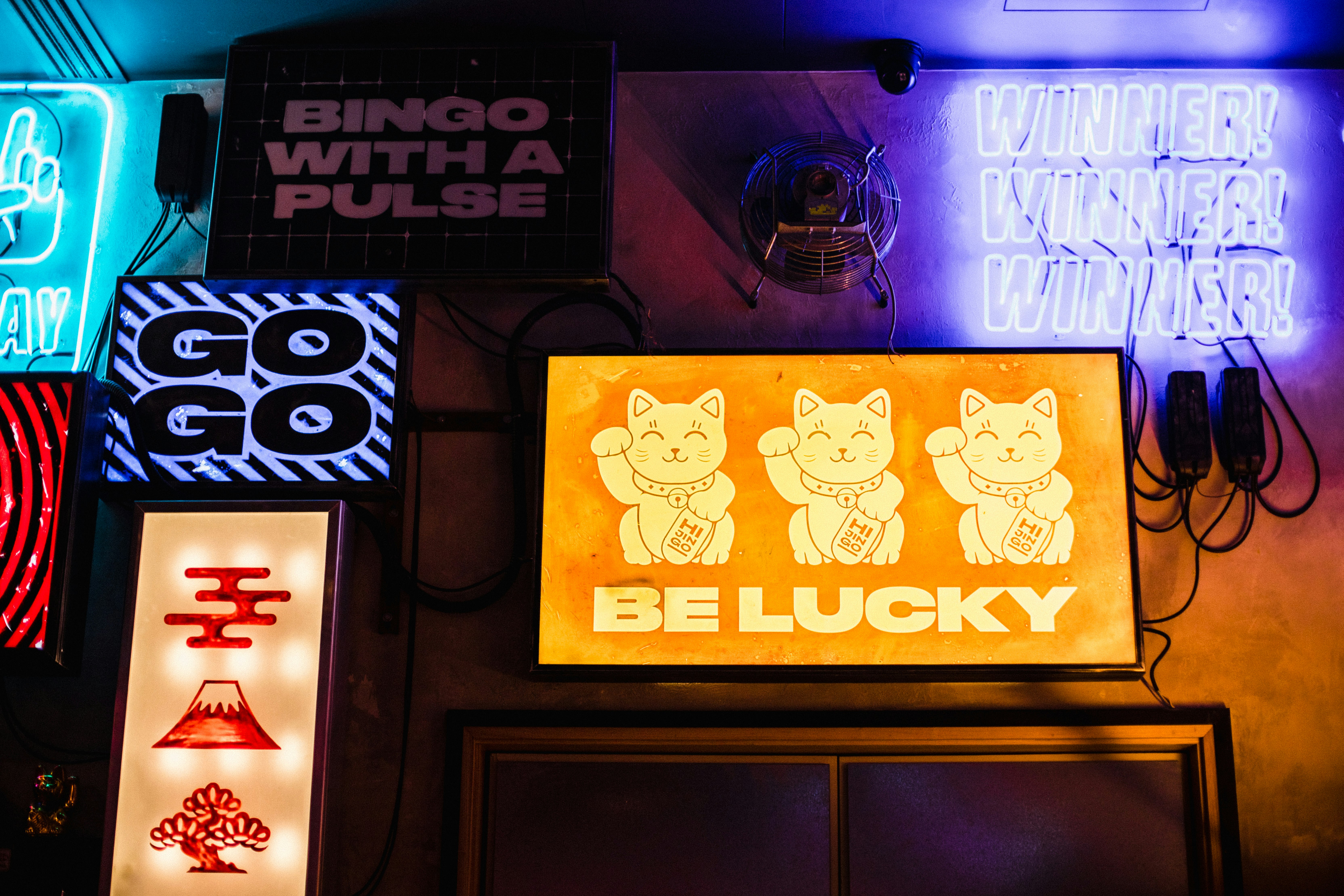 Hijingo - Lucky Cat Bar image 3