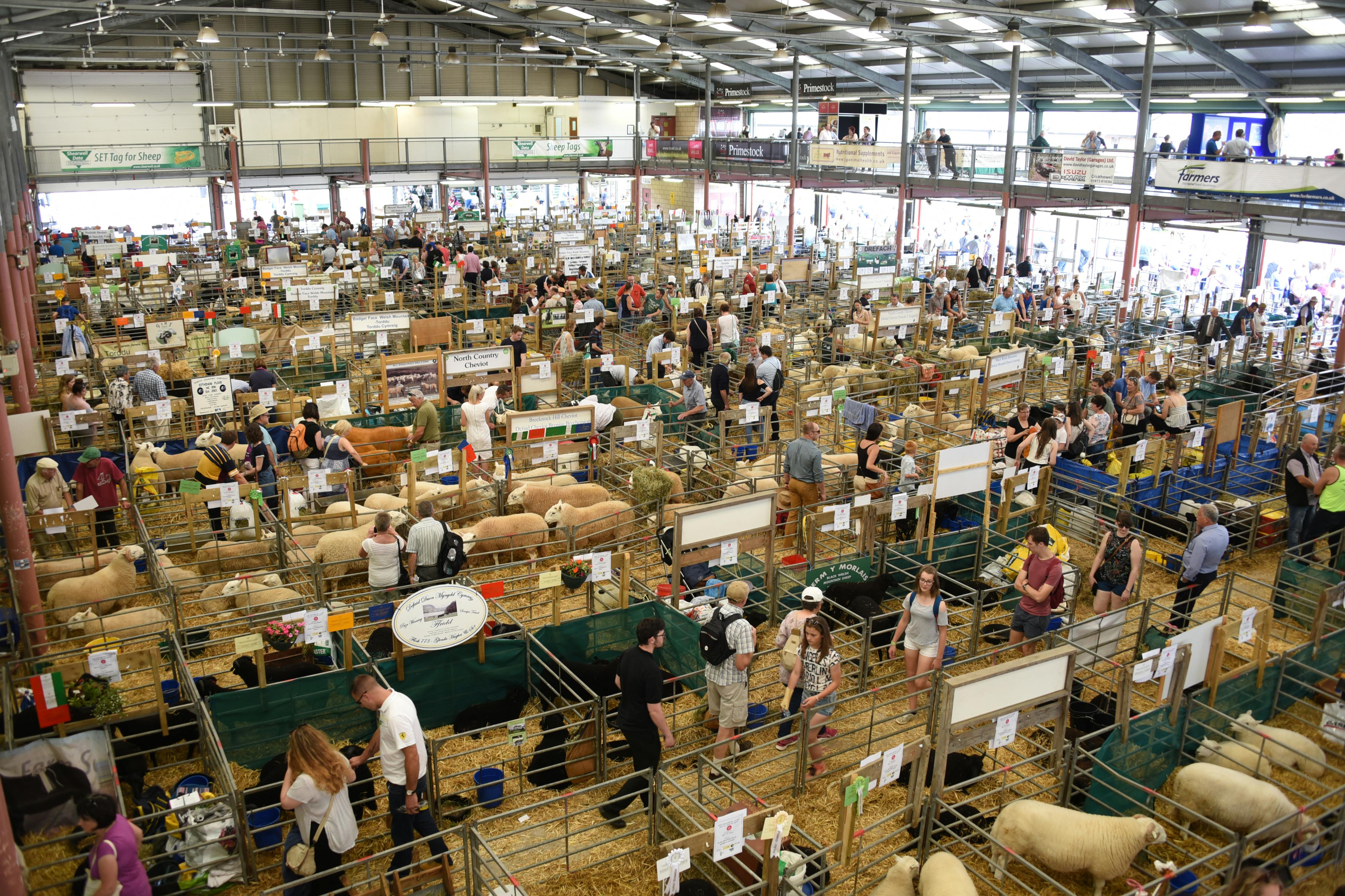 Exhibition Hall | Business | Royal Welsh Showground | Hire Space