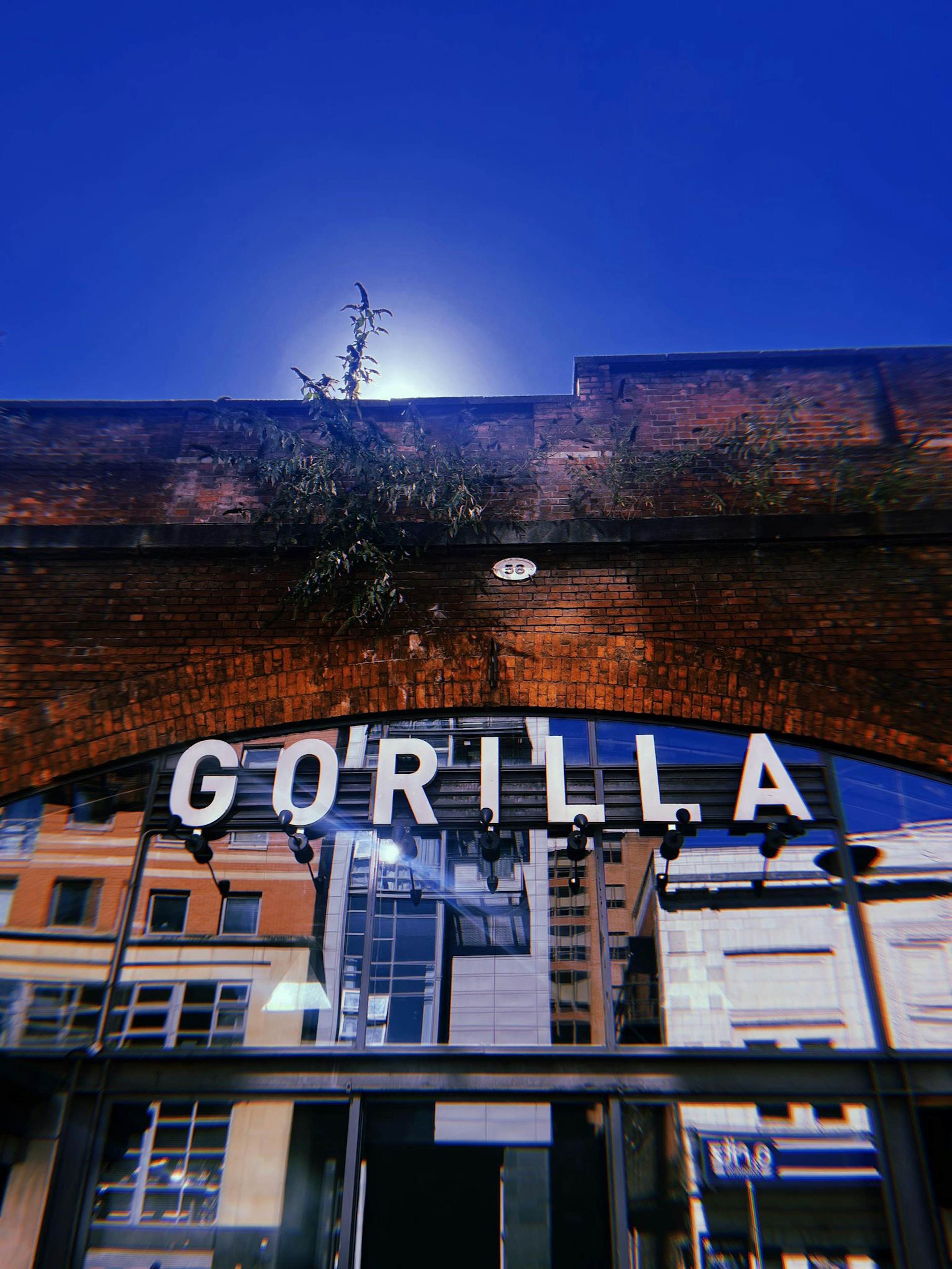 Gorilla Manchester - Music Hall image 2