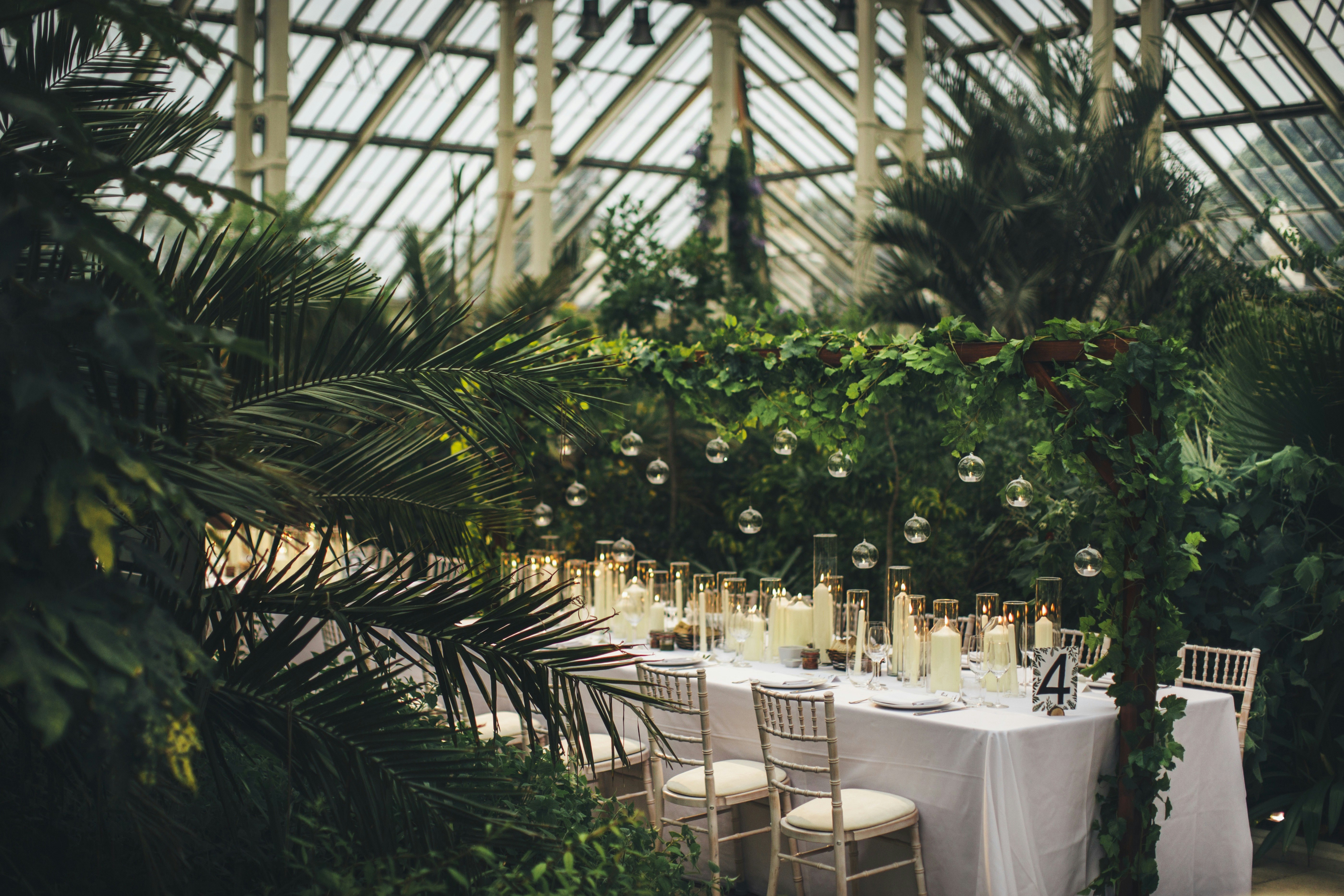 Royal Botanic Gardens, Kew - Temperate House image 1