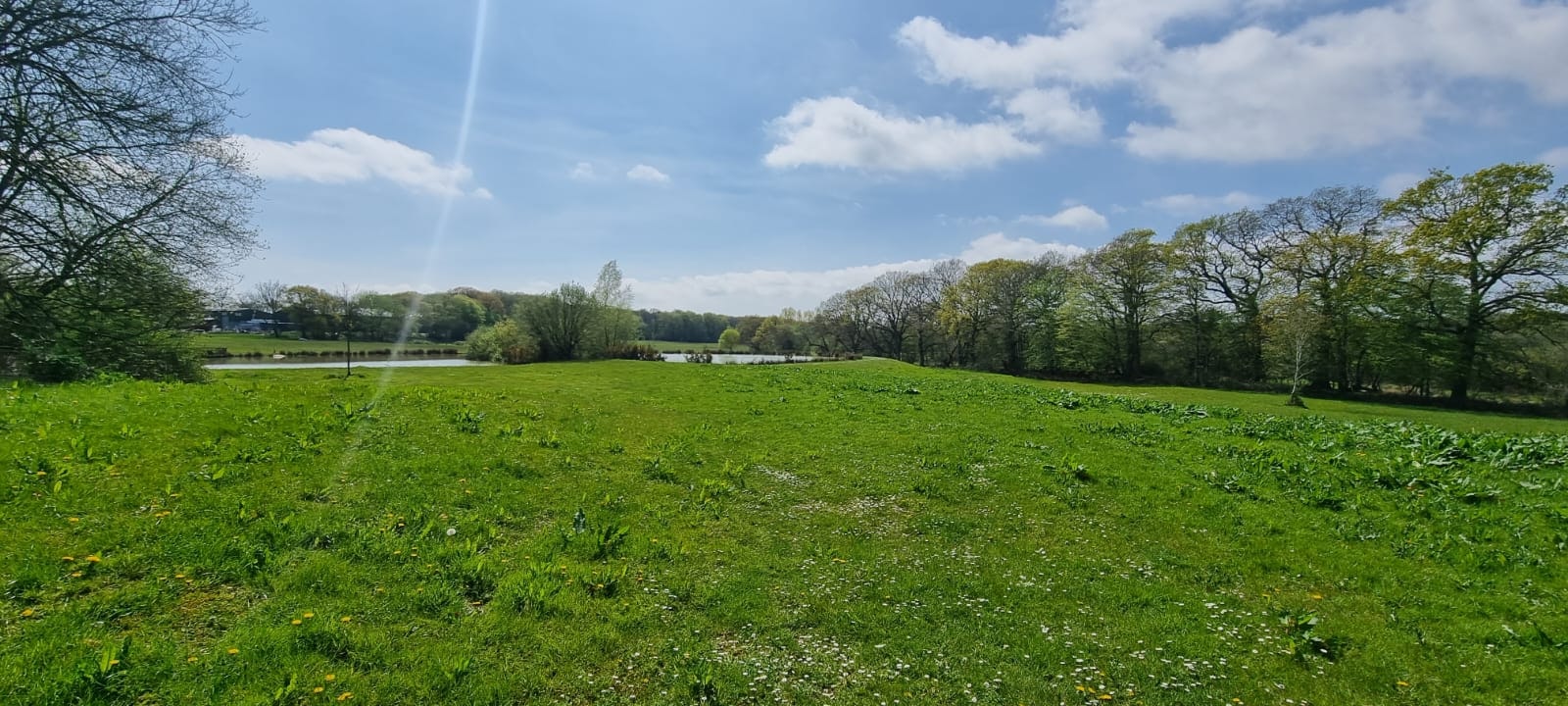 HHE Showground - HHE Showground image 3