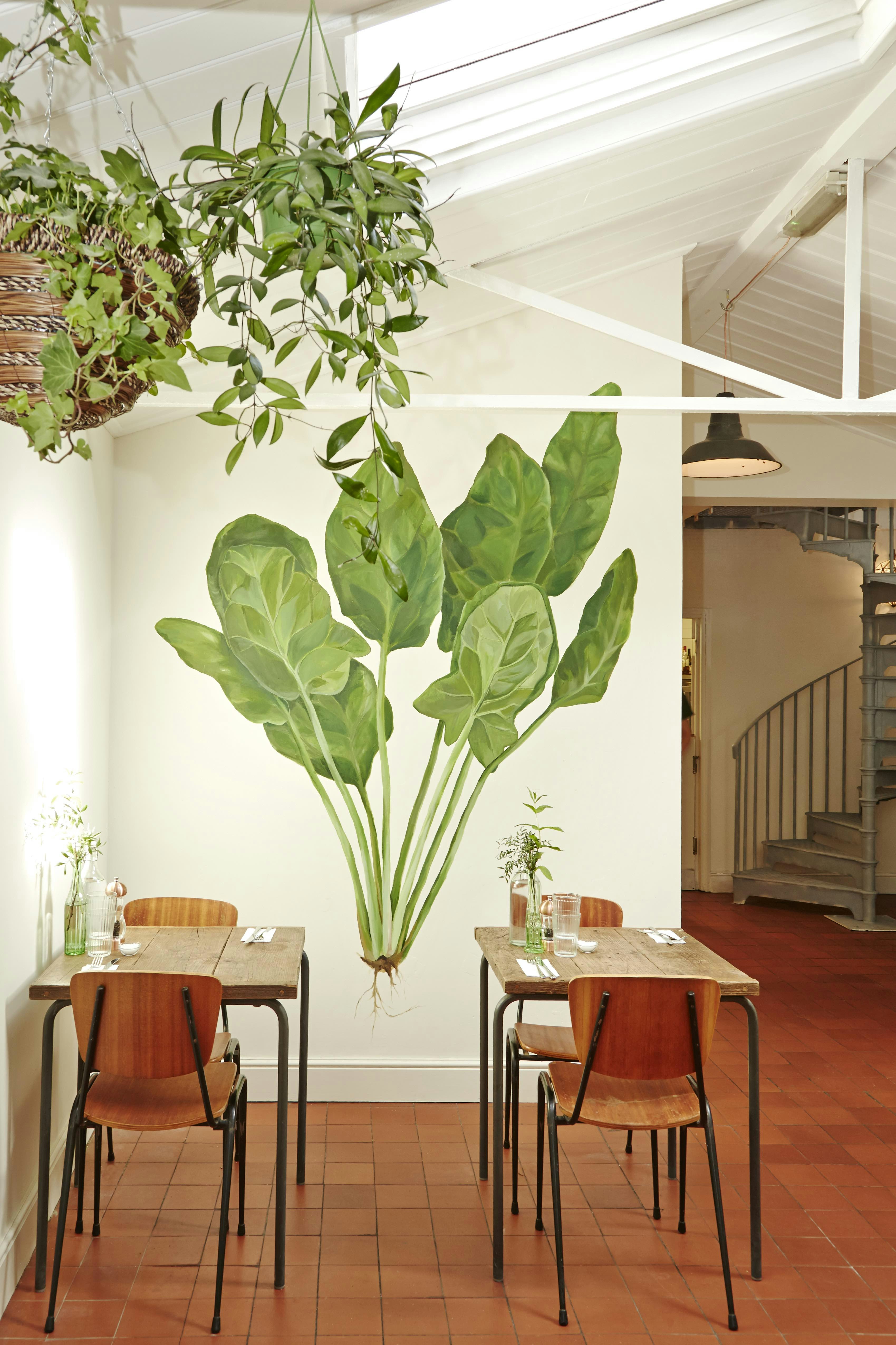 Spinach East Dulwich - Private Dining Room image 4