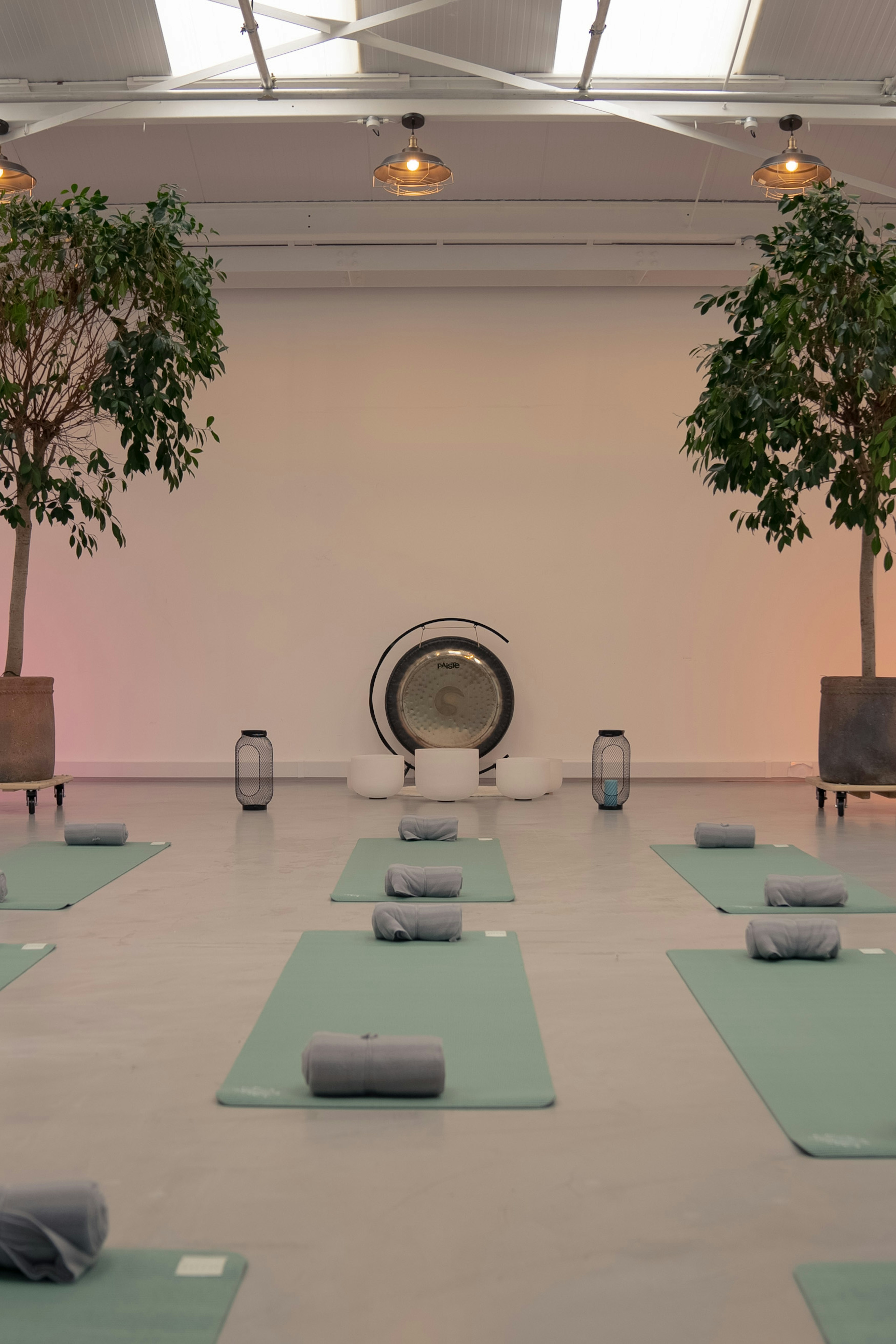 Other | Wellness classes 
