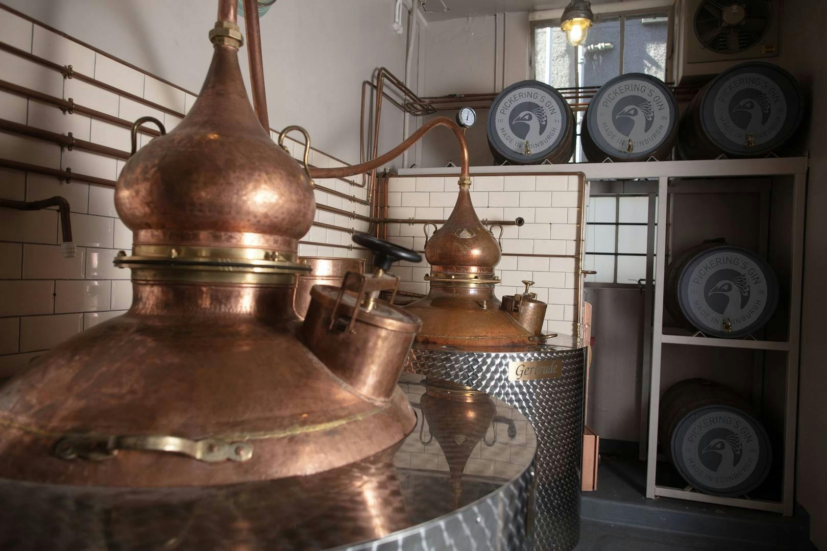 Summerhall - image 3