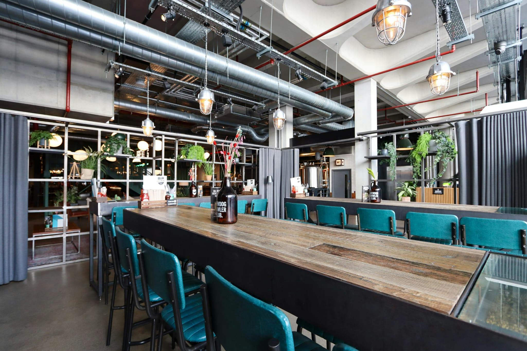 BrewDog Waterloo - image 3
