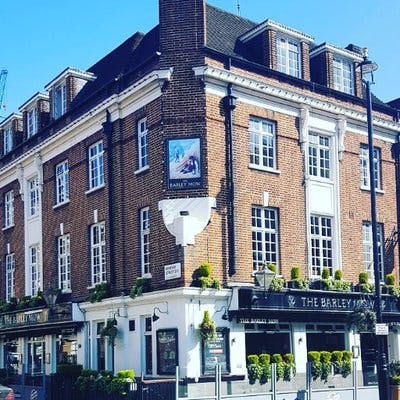 The Barley Mow - image 1