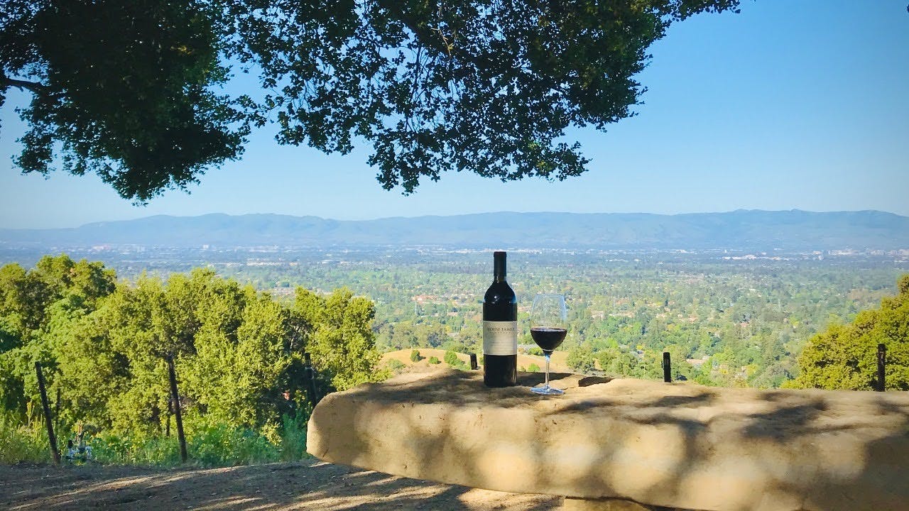 House Family Vineyards - image 1