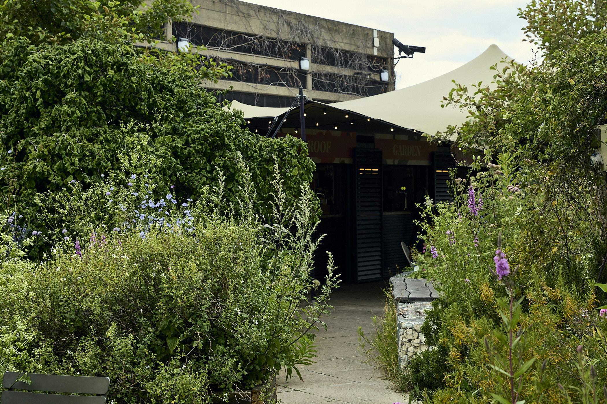 Queen Elizabeth Hall Roof Garden | Southbank Centre