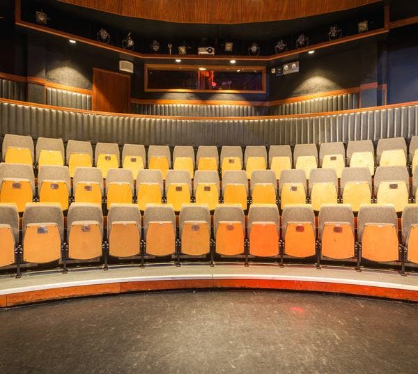 Midlands Arts Centre - image 1