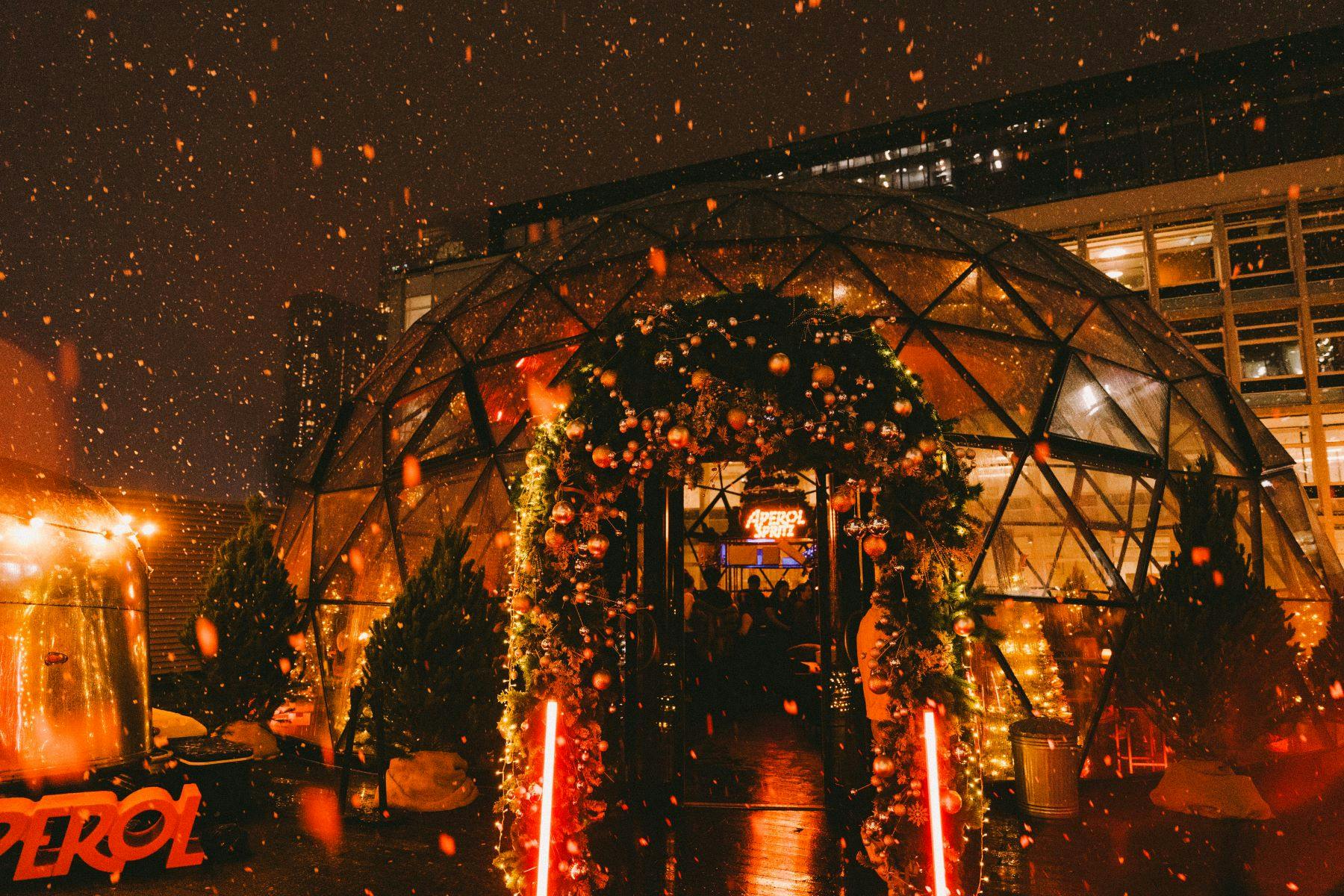 The Dome - image 2