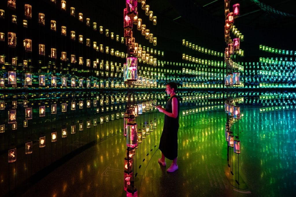 Museum of the Future - image 1