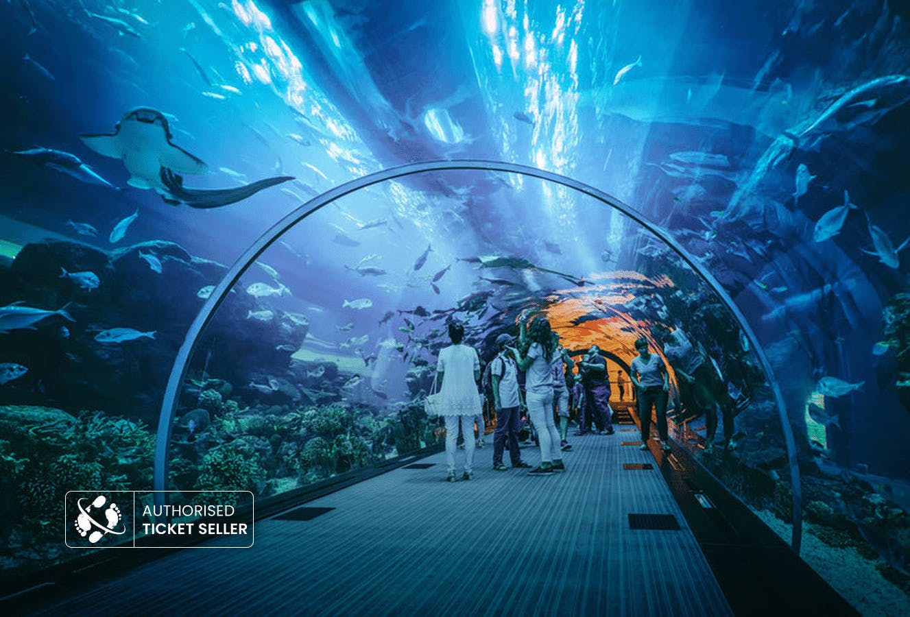 Dubai Aquarium & Underwater Zoo - image 1