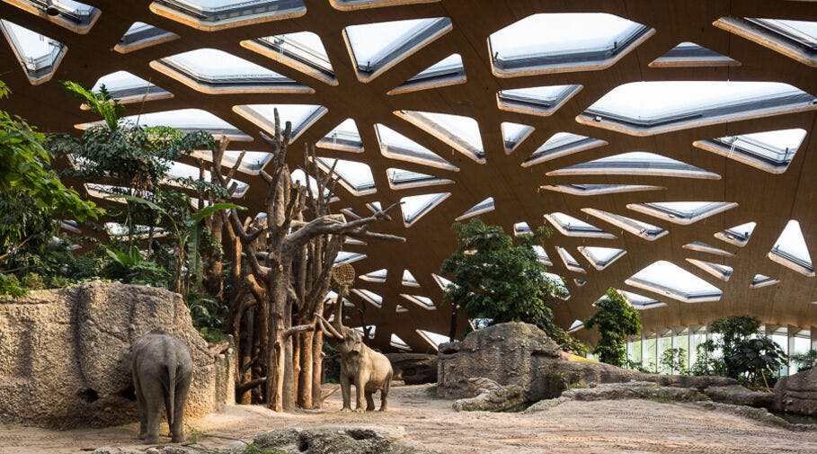 Zoo Zürich - image 1