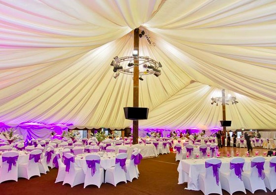 West Midland Safari Park - Tree Tops Pavilion image 2