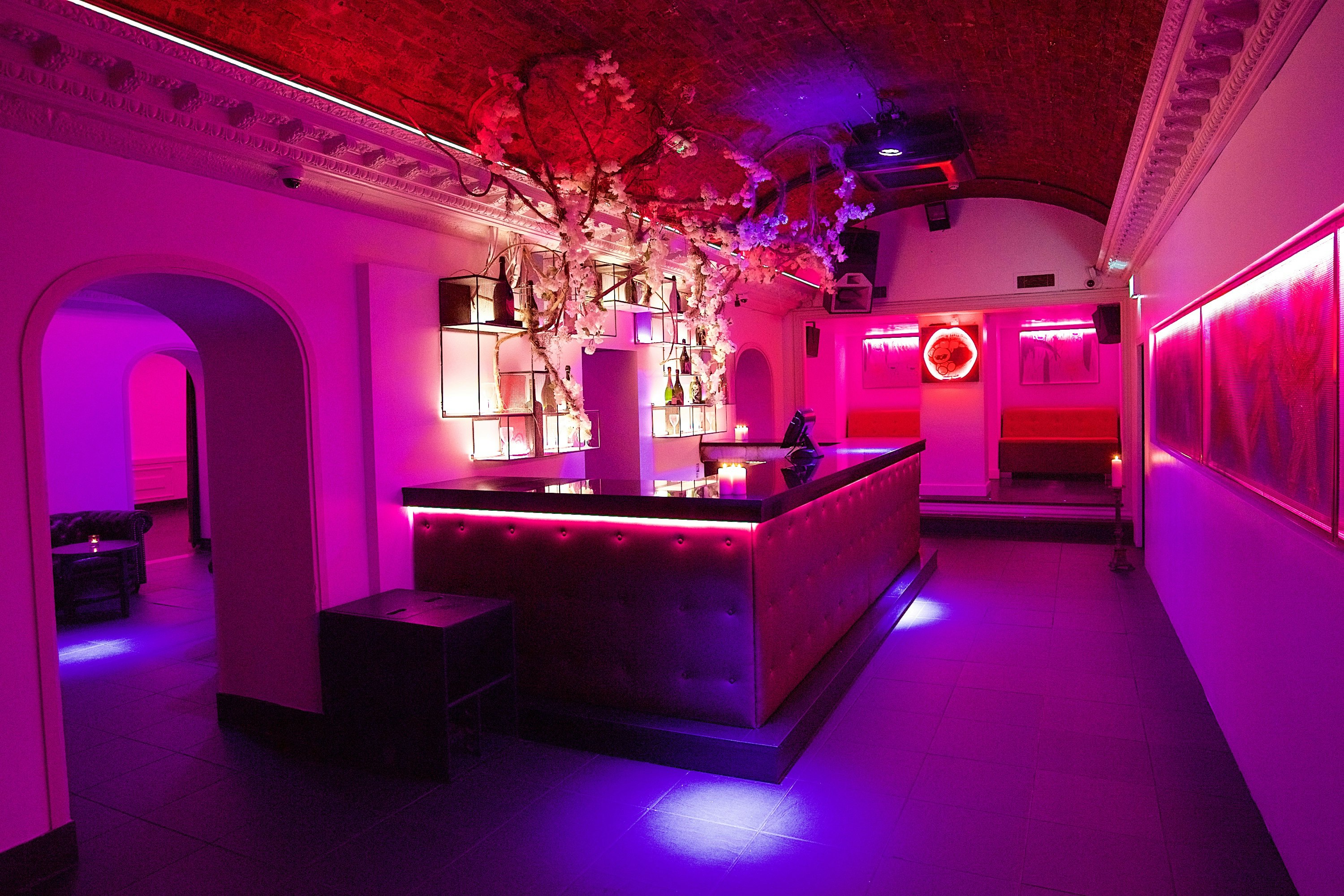 TOY ROOM - Whole Venue image 2