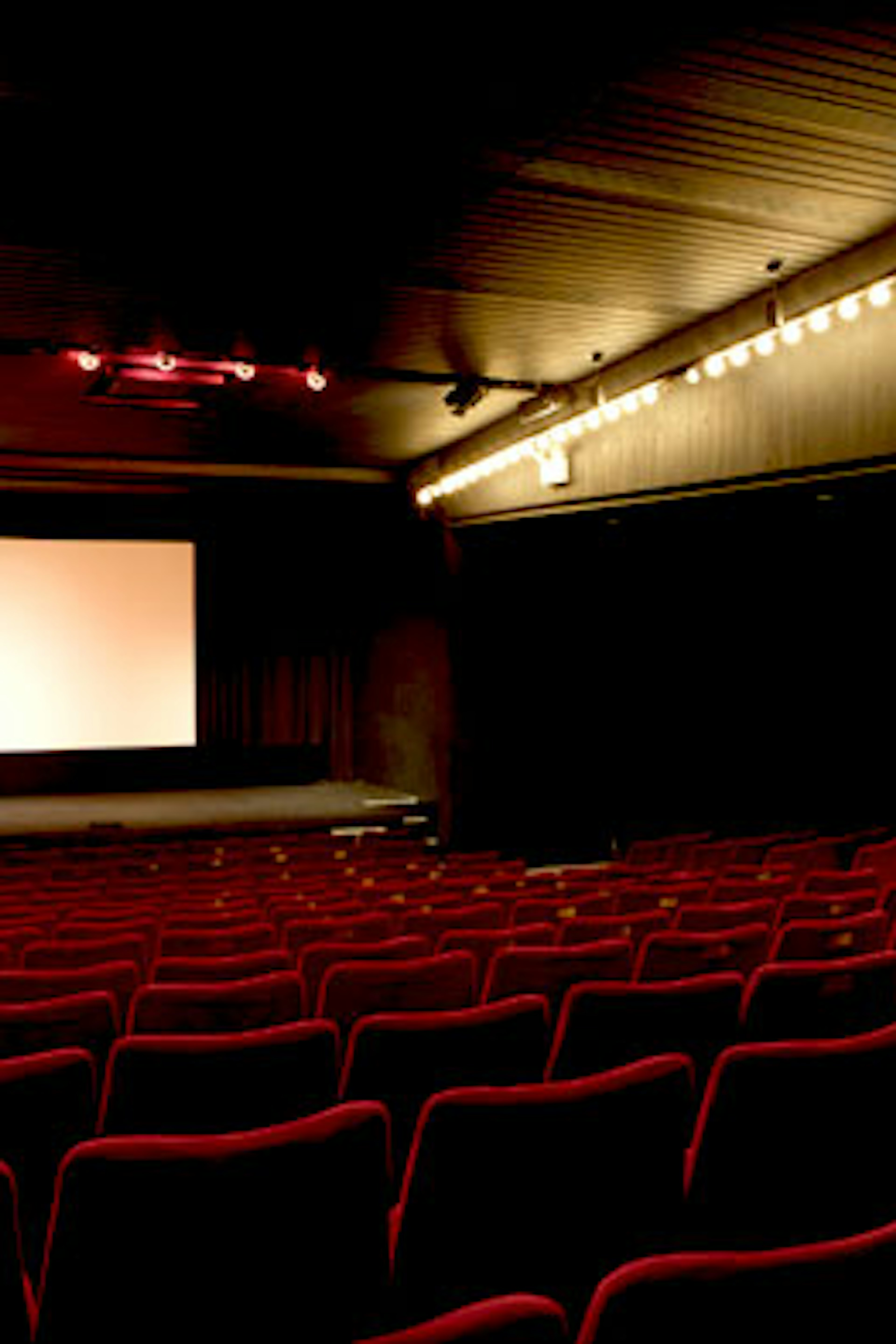 Screenings | Cinema 1