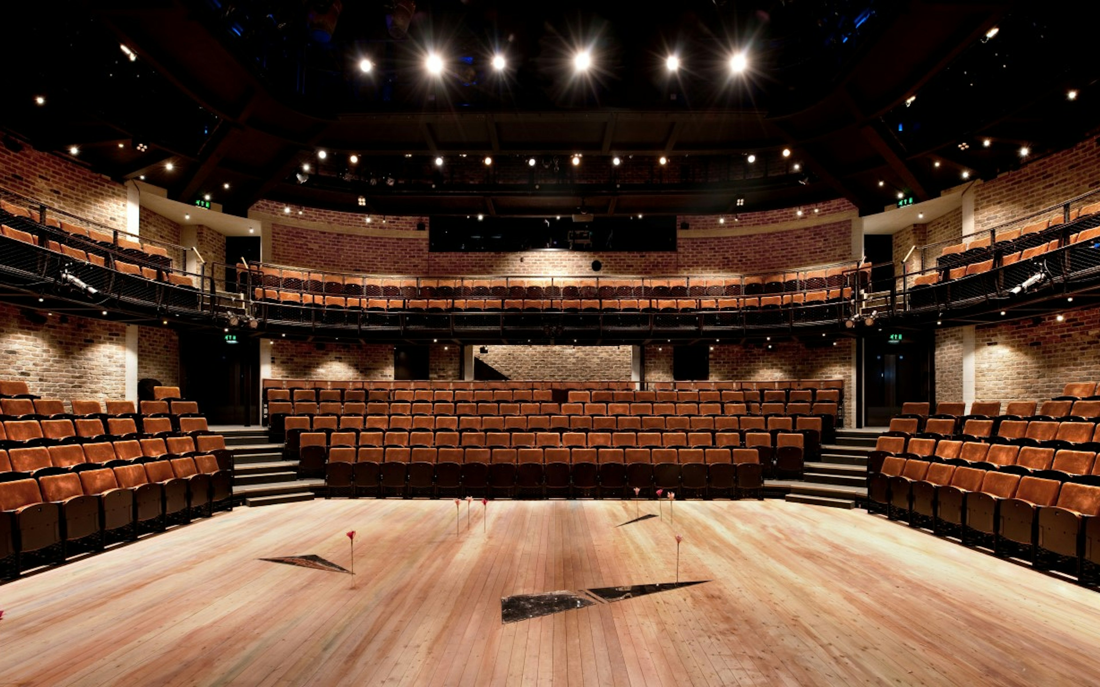 The Liverpool Everyman Theatre  - image
