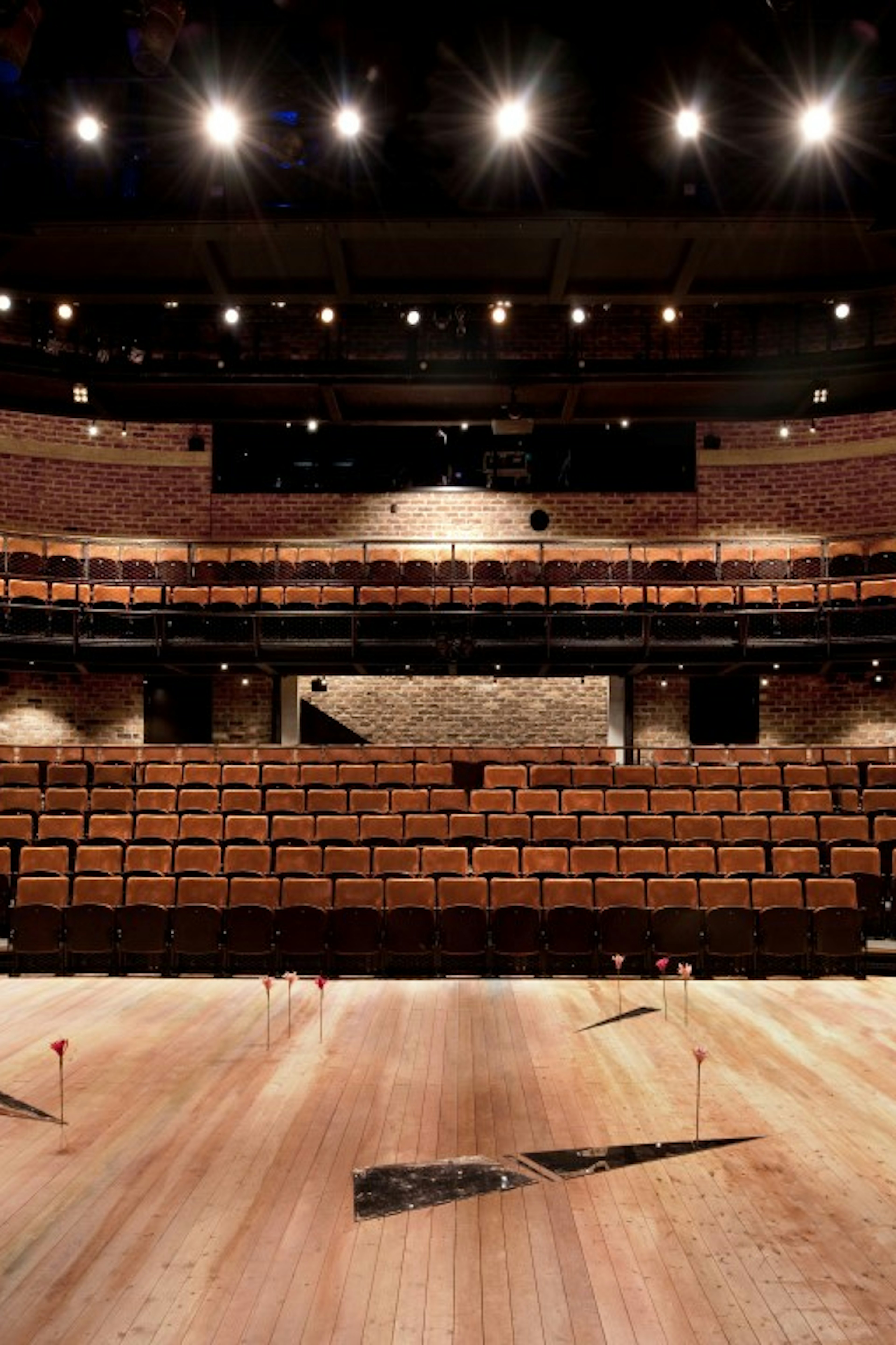 Events | Everyman Theatre Auditorium 