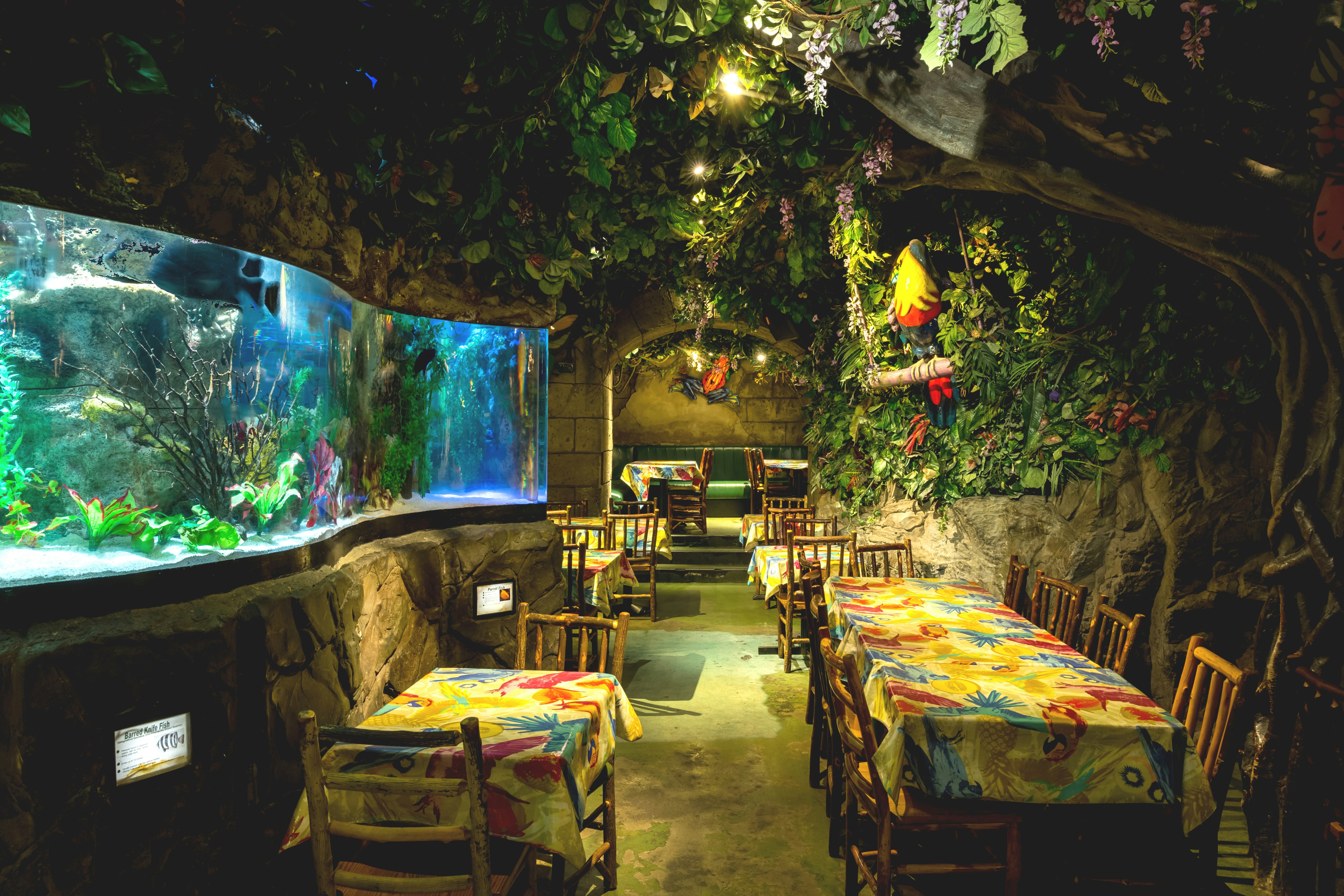 Cafes Venues in London - Jungle Cave