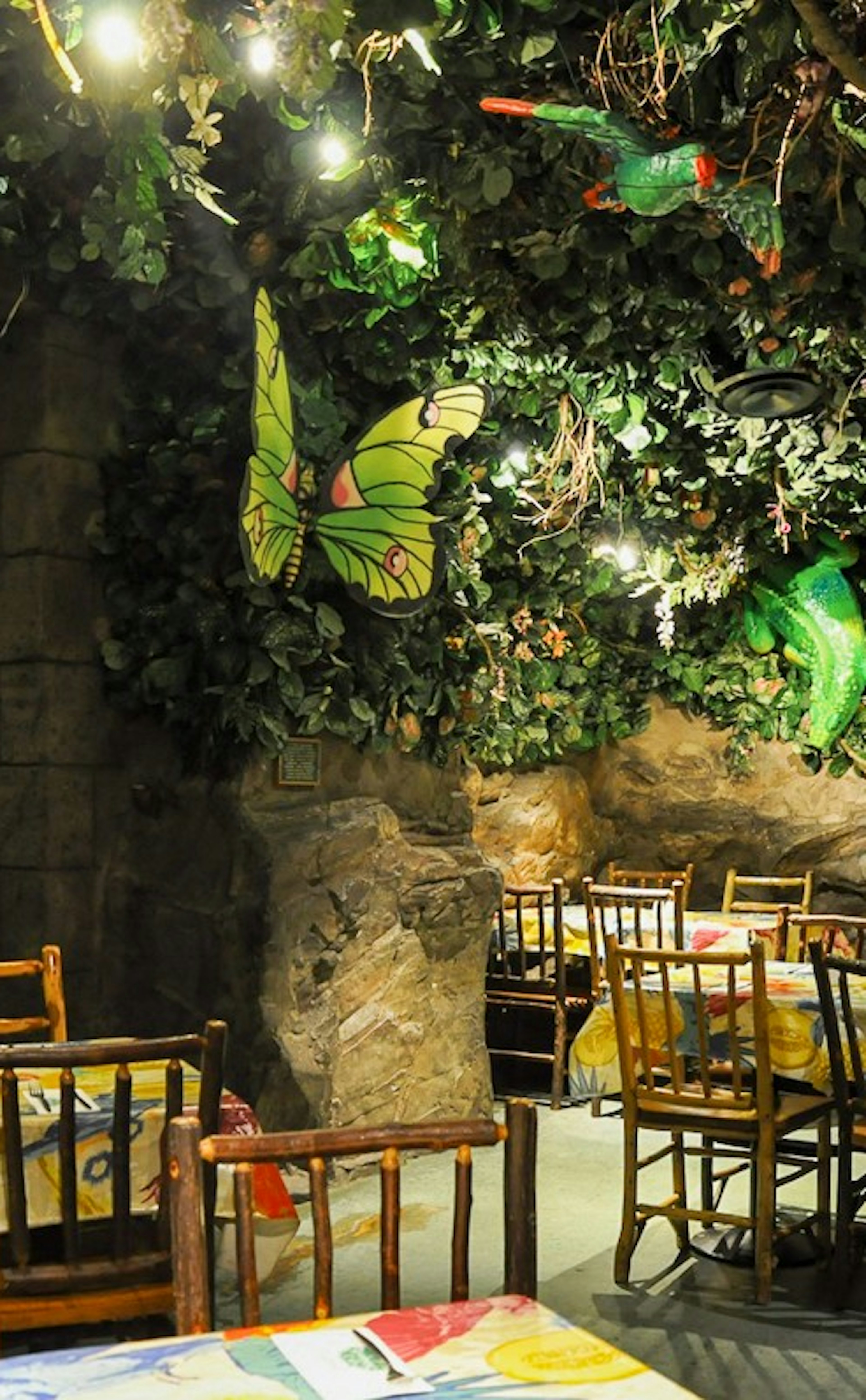 Cafes for Hire - Rainforest Cafe