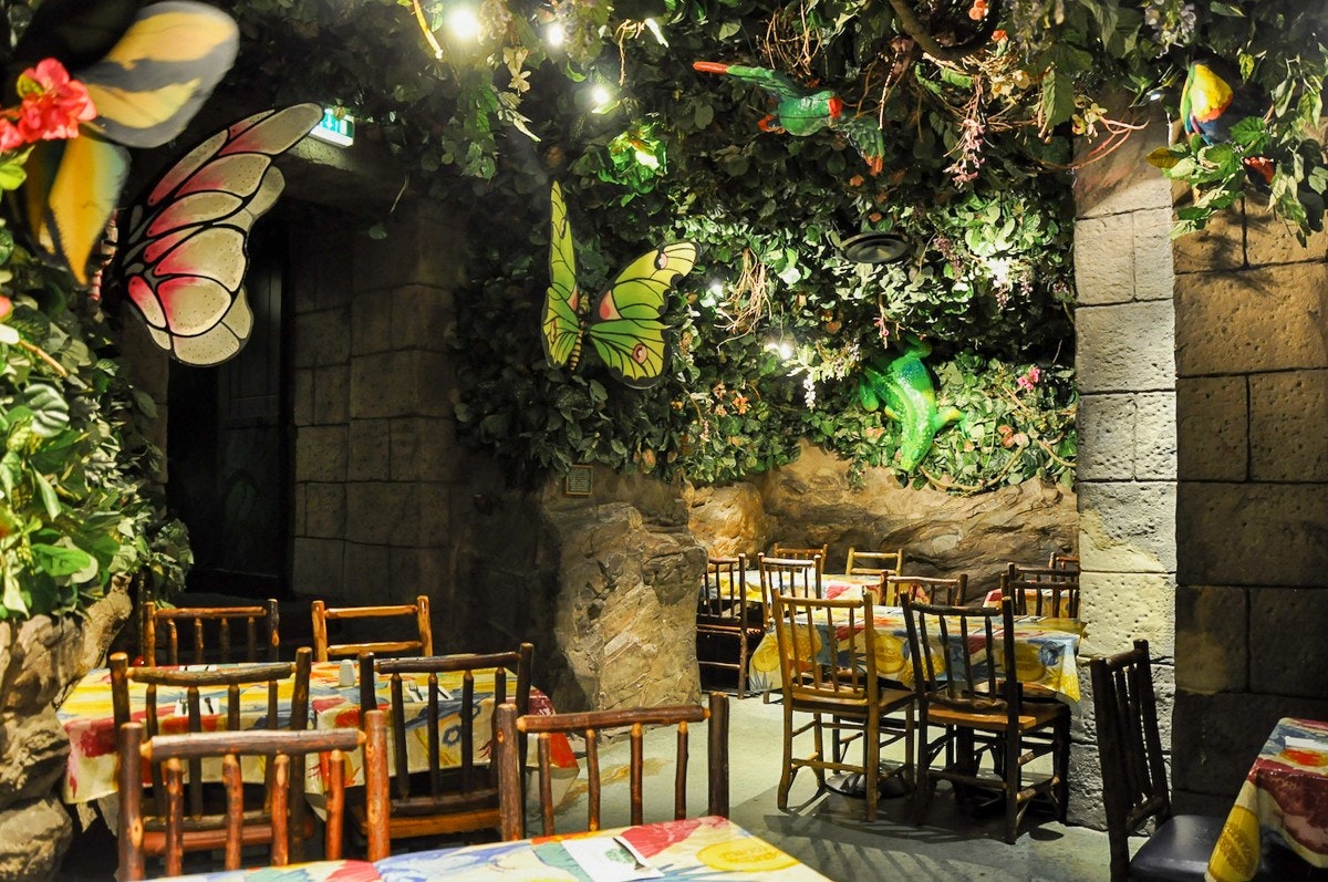 Cafes in London - Jungle Cave - Events in Butterfly Zone - Banner
