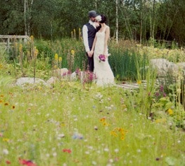 Garden Wedding Venues in London - WWT London Wetland Centre
