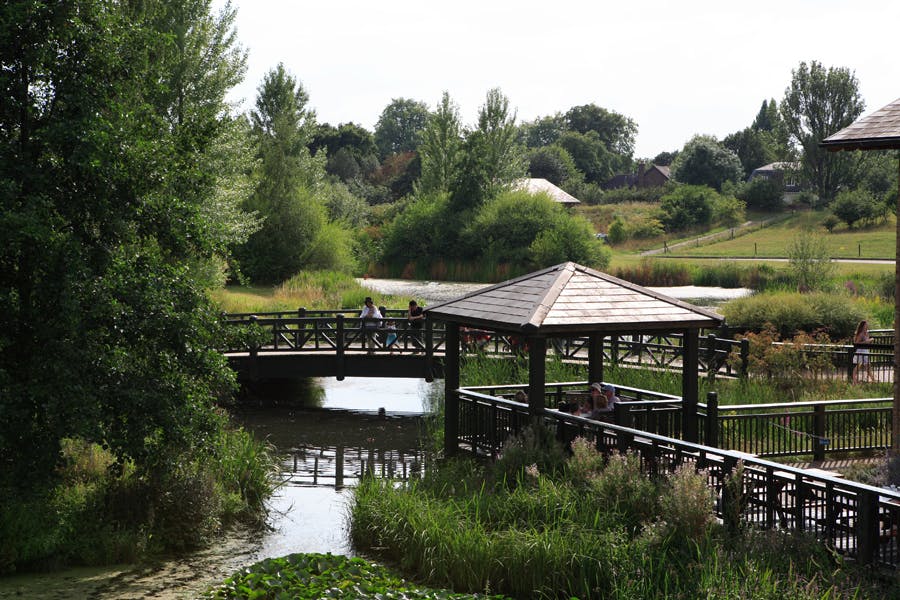 Tower | Events | WWT London Wetland Centre