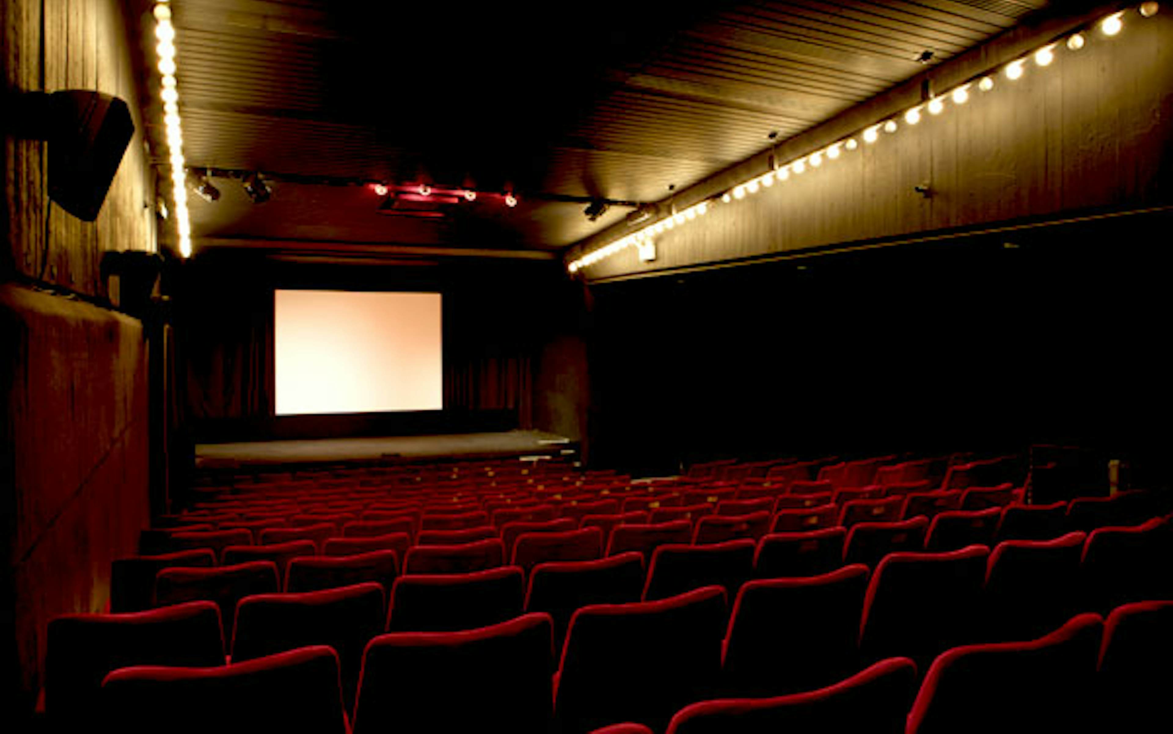 Institute of Contemporary Arts (ICA) - Cinema 1 image 1
